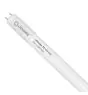 Ledvance LED Buis T8 Value (UN) High Output 8W 900lm - 840 Koel Wit | 60cm - Vervangt 18W